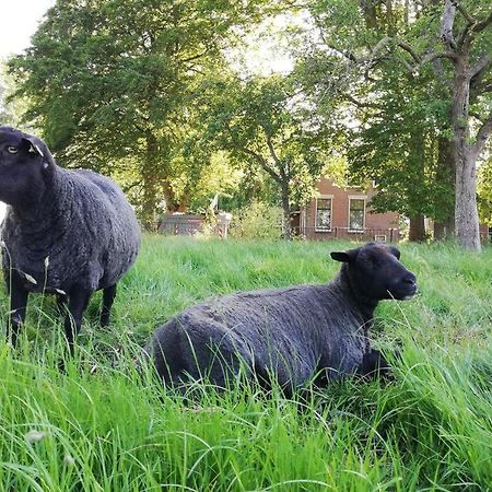 'T Pekelhuis - Vakantiehuisje Op Boerderij Huize Blokland Hem Esterno foto