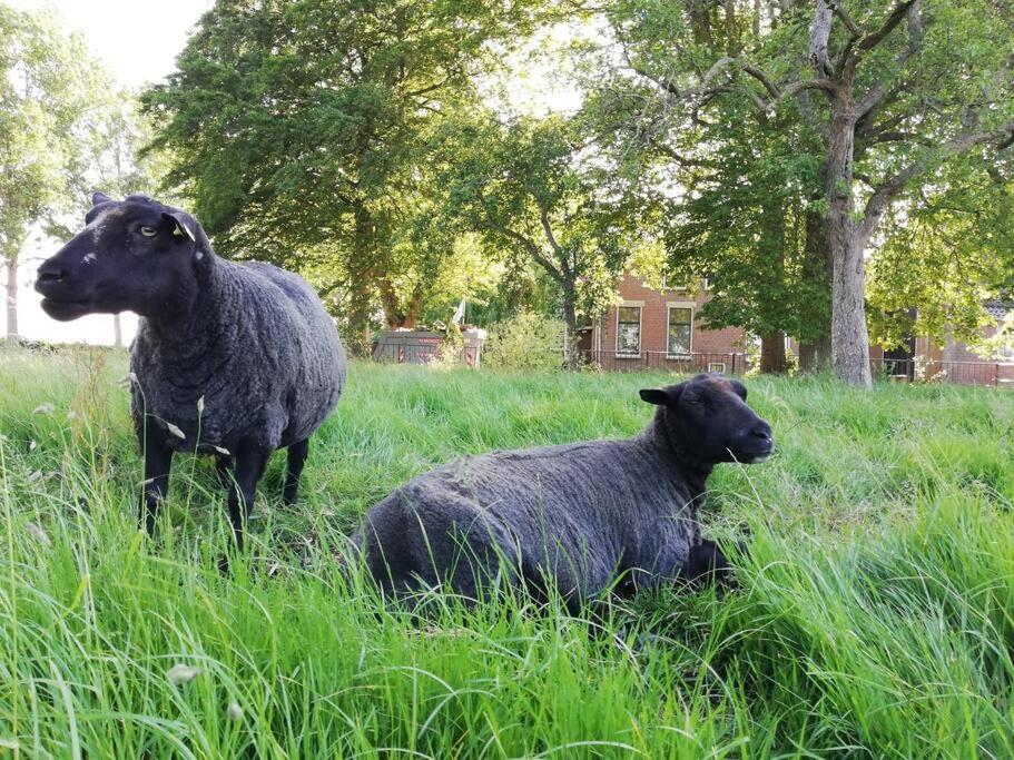 'T Pekelhuis - Vakantiehuisje Op Boerderij Huize Blokland Hem Esterno foto