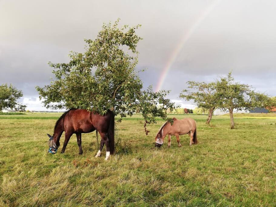 'T Pekelhuis - Vakantiehuisje Op Boerderij Huize Blokland Hem Esterno foto
